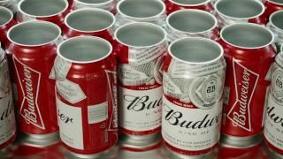 Budweiser | Canning Process