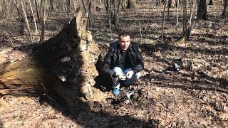 Находка под корнем 100-летнего дерева!