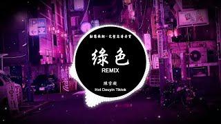 陳雪凝 - 綠色 (Remix) 【動態歌詞/Pinyin Lyrics】『說不痛苦那是假的，畢竟我的心也是肉做的。』- DJ MIN