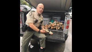 Tourist jailed for collecting seashells on Florida beach
