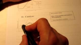 Reaction Kinetics (Rate Law):  Part 1