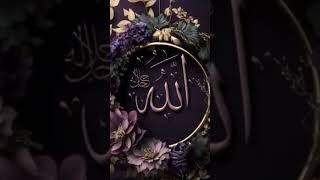 mashaallah allah name status ️ #new islamic status #alinakhadiji #786