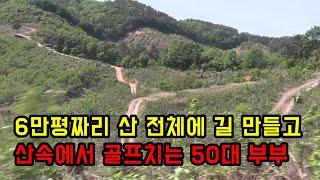 산 6만평 온 사방에 길 만들어 놓고 산속에서 농사지어 자식 키우고 골프까지 치는 50대 부부ㄷㄷ