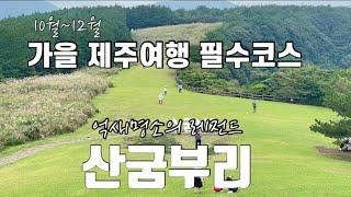 [제주여행]10월~12월 가을 제주여행 필수코스억새명소의 레전드 산굼부리|제주억새 명소|억새명소|제주가을여행|제주여행|서귀포여행|산굼부리