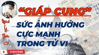 SỨC ẢNH HƯỞNG CỦA GIÁP CUNG TRÊN LÁ SỐ | TỬ VI LÊ QUANG LĂNG | TỬ VI NAM PHÁI | MỆNH LÝ THIÊN CƠ