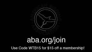 American Birding Association Live Stream