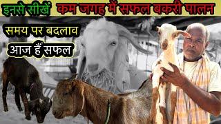 कम खर्चे में सफल बकरी पालन कैसे करें | Bakri palan ka sahi tarika | Rooftop Goat Farm