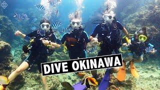 DIVING THE BLUE CAVE IN OKINAWA | EP 247