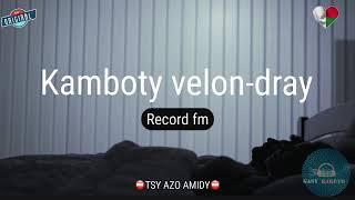 Kamboty velon-dray (Record) #gasyrakoto