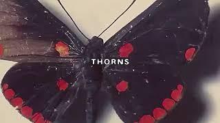 $UICIDEBOY$- THORNS (Lyric Video)