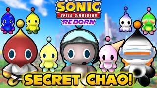 How to Find All Secret Chao in Sonic Speed Simulator! (Glitches & Locations)