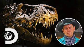 Rancher Finds T-Rex Bones That Turn Out To Be A Brand New Dinosaur Species! | Dino Hunters