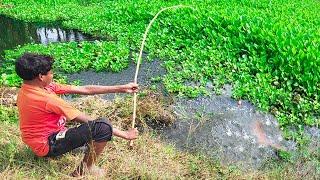 Fishing Video || Anyone will be impressed by the fishing talent of the boy  || Fish hunting