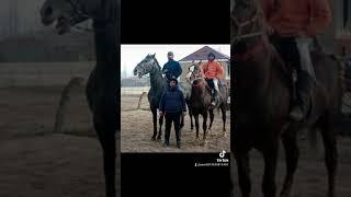 баходур полвон