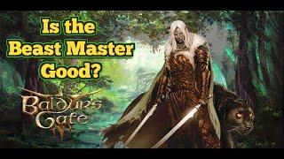 Spellcasting Archer Beast Master | Baldur's Gate 3 Ranger Build Guide