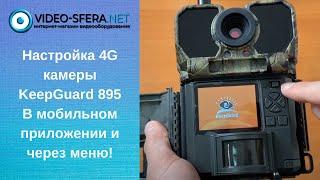 Обзор по настройке 4g фотоловушки MiCam KeepGuard 895 в мобильном приложении Guard Point