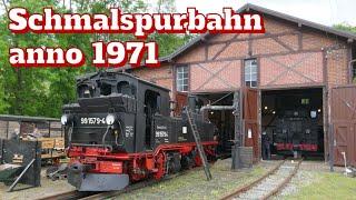 32. Rittersgrüner Bahnhofs- & Vereinsfest | 15.6.2024