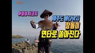 제주도 낚시 클라스다!! 참돔이 쏟아지는 그곳 섶섬 서코지