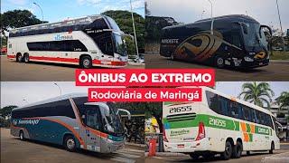 PENHA DOMINANDO E GONTIJO COM PINTURA DA SÃO GERALDO - Movimentação na Rodoviária de Maringá