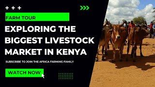 Inside the BIGGEST LIVESTOCK MARKET in Kenya | BISIL KAJIADO | AFRICA FARMING (FARM TOUR ep 11)