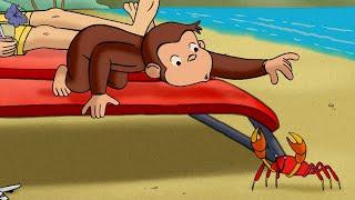 Il caos da vacanze!  Curioso Come George  Cartoni per Bambini