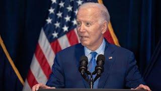 'No-one knows’ how to swap out Joe Biden