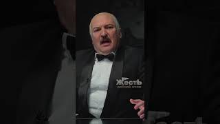 СМОТРИ ПОЛНОЕ ВИДЕО️Вопрос от ЗЕЛЕНСКОГО - «ЧТО? ГДЕ? ГОЙДА?» @ЖестЬДобройВоли