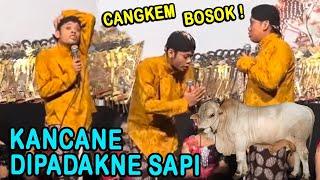 Percil + Yudho Cangkem syukur jeplak Kancane di padakne Kewan..!!