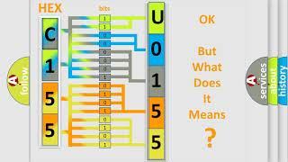 DTC Suzuki U0155 Short Explanation