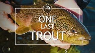 Fly-fishing for Big Brown Trout | Autumn in the Scottish Borders