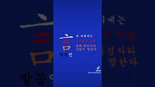 내 머리에는 윤건희 두사람탄핵•특검하라수없이 말한다될때까지