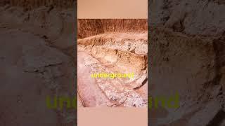 Petra's Secret Water Engineering Revealed!   #shorts #ancienttechnology #Petra