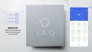 Introducing IAQ: The World's Easiest Indoor Air Quality Monitor