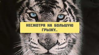 Отвечаю на Ваши вопросы в прямом эфире,антинародные законы и в целом обо всем понемногу.