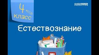 Естествознание. 4 класс. Что такое выталкивающая сила. Как действует закон Архимеда в воздухе