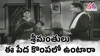 Gummadi Wants To Stay With Ntr  Family || Telugu Movie Scenes || #GangothriMovies