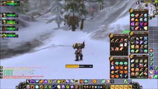 Vanilla WoW Enhancement Shaman Windfury 5