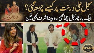 Zard Patton Ka Bunn - How Sajal Ali Climbed At Tree? Rubina Ashraf Shocked | Drama Review