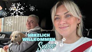 Unser WELPE zieht bei uns ein!  | aliciasmumlife