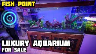 Fish Point’s Premium Luxury Aquarium FOR SALE - Fish Point Lalukhet Aquarium Market - Imran's World