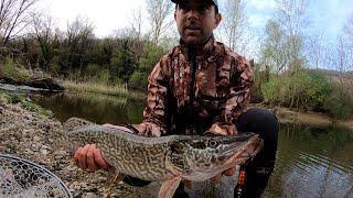 Spinning in fiume - I lucciotti della Merse