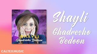 Shayli - Ghadresho Bedoon (Official Audio) | Persian Music 2020