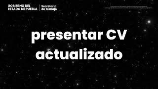 Programa de Apoyo al Empleo: para buscadores de empleo 2024