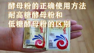 酵母粉正確使用方法，耐高糖酵母粉和低糖酵母粉區別，看完視頻才明白