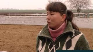 Конный клуб Серебряная подкова 7мин14сек
