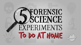 5 Simple Crime-Solving Science Experiments To Do At Home