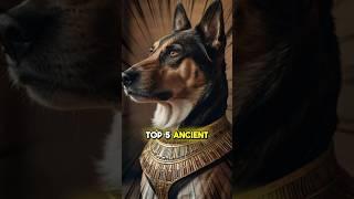 Top 5 Ancient Dog Breeds and Their Origins