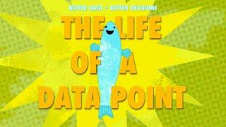 The Life of a Data Point