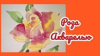 Роза акварелью/ drawing rose in watercolor #art #рисунок #акварель