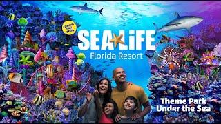 LEGOLAND Florida's Newest Attractions Unveiled for 2024: Sea Life and Ferrari Build and Race!